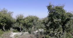 Land for Sale Kharbeh Jbeil Area 870Sqm
