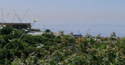 Land for Sale Blat ( Qartaboun ) Jbeil Area 1808Sqm