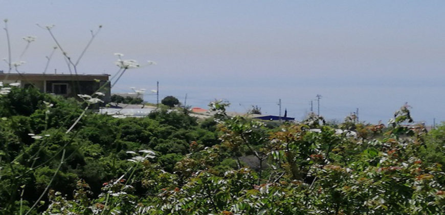 Land for Sale Blat ( Qartaboun ) Jbeil Area 1808Sqm