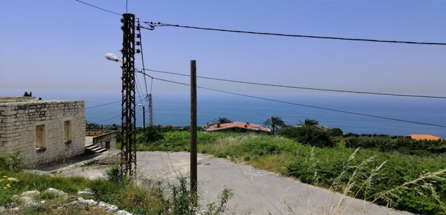 Land for Sale Berbara Jbeil Area 1500Sqm