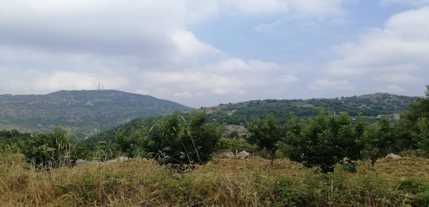 Land for Sale Lehfed Jbeil Area 802Sqm
