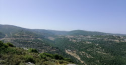Land for Sale Bejjeh Jbeil Area 35200Sqm