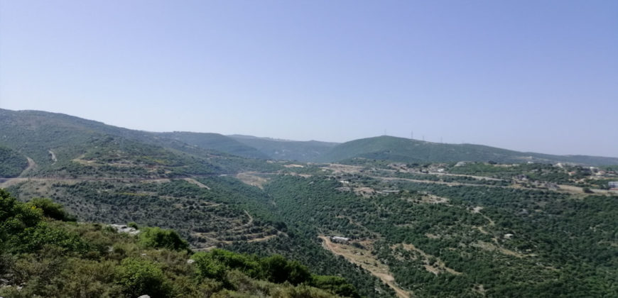 Land for Sale Bejjeh Jbeil Area 35200Sqm