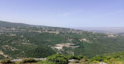 Land for Sale Bejjeh Jbeil Area 35200Sqm