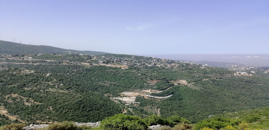 Land for Sale Bejjeh Jbeil Area 35200Sqm