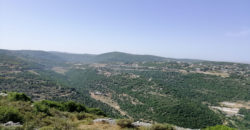 Land for Sale Bejjeh Jbeil Area 35200Sqm