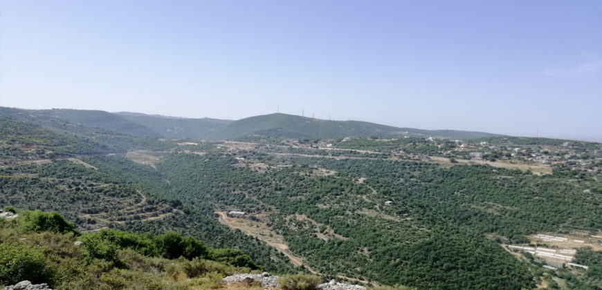 Land for Sale Bejjeh Jbeil Area 35200Sqm