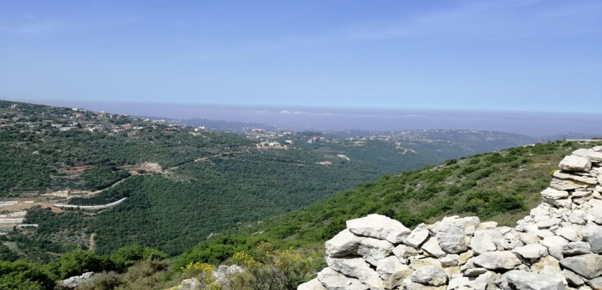 Land for Sale Bejjeh Jbeil Area 35200Sqm