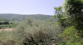 Land for Sale Ain Kfaa Jbeil Area 1082Sqm