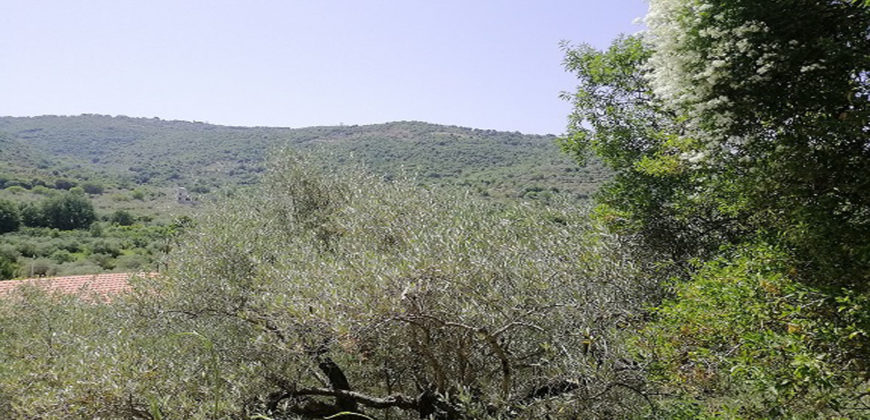 Land for Sale Ain Kfaa Jbeil Area 1082Sqm