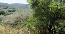 Land for Sale Ain Kfaa Jbeil Area 1082Sqm