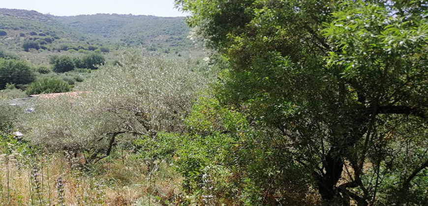 Land for Sale Ain Kfaa Jbeil Area 1082Sqm