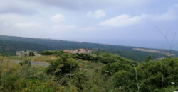 Land for Sale Berbara Jbeil Area 1941Sqm