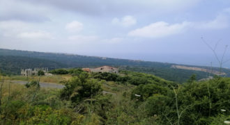 Land for Sale Berbara Jbeil Area 1941Sqm