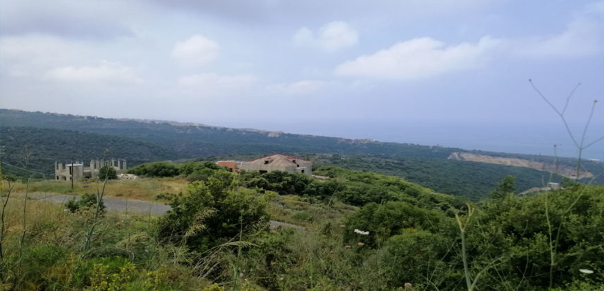 Land for Sale Berbara Jbeil Area 1941Sqm