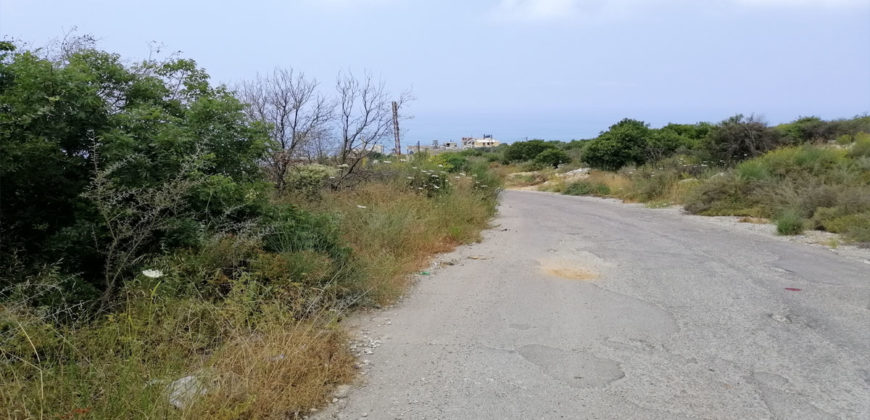 Land for Sale Berbara Jbeil Area 1941Sqm