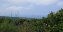 Land for Sale Berbara Jbeil Area 1941Sqm