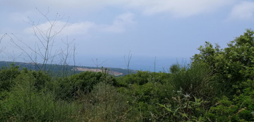 Land for Sale Berbara Jbeil Area 1941Sqm
