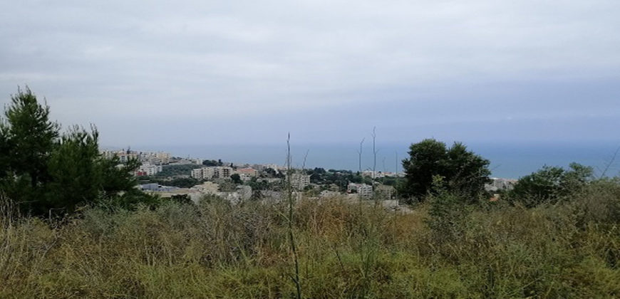 Land for Sale Blat Jbeil Area 840Sqm