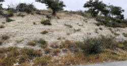 Land for Sale Blat Jbeil Area 840Sqm