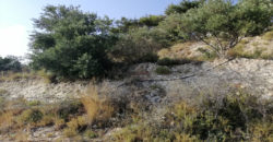 Land for Sale Blat Jbeil Area 1640Sqm