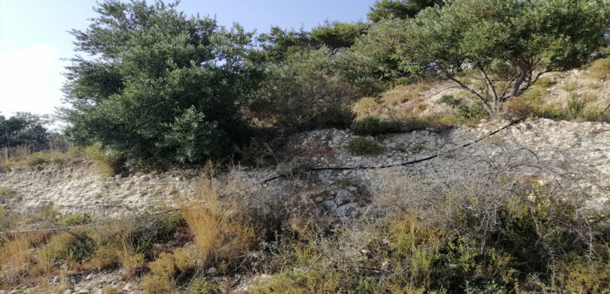 Land for Sale Blat Jbeil Area 1640Sqm