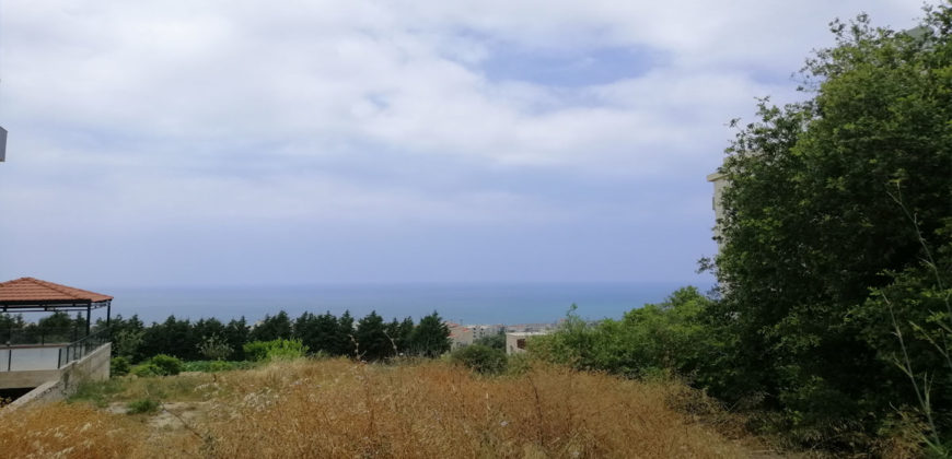 Land for Sale Blat Jbeil Area 650Sqm