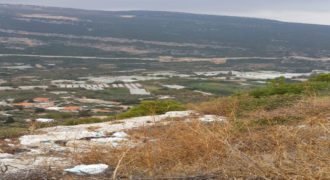Land for Sale Hardine- Beit Kassab Batroun Area 721Sqm