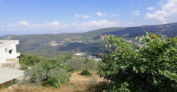 Land for Sale Zebdine Jbeil Area 650Sqm