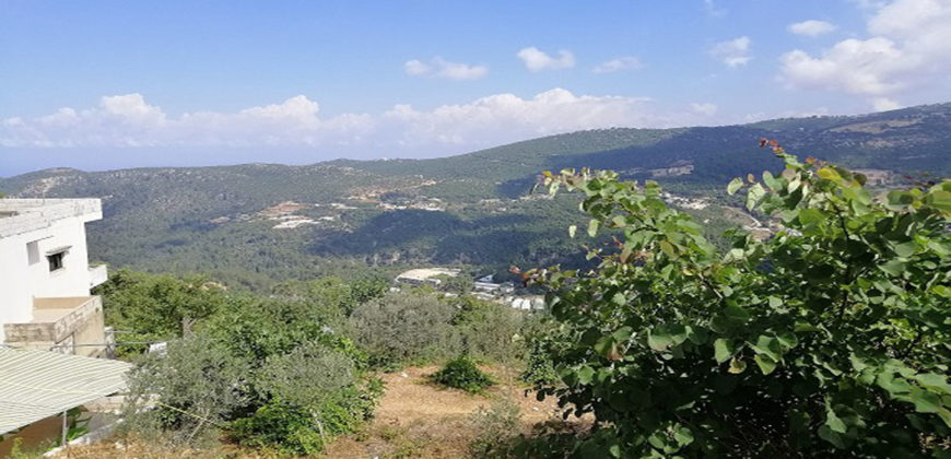 Land for Sale Zebdine Jbeil Area 650Sqm