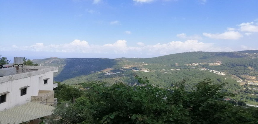 Land for Sale Zebdine Jbeil Area 650Sqm