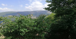 Land for Sale Zebdine Jbeil Area 650Sqm
