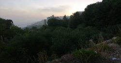 Land for Sale Aannaya – Kfar Baal Jbeil Area 1150Sqm