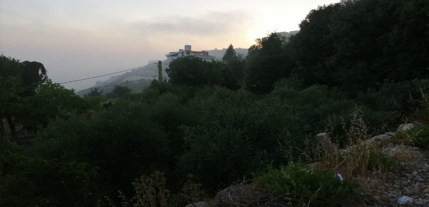 Land for Sale Aannaya – Kfar Baal Jbeil Area 1150Sqm