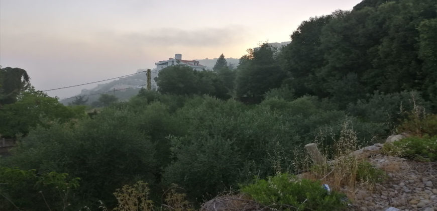 Land for Sale Aannaya – Kfar Baal Jbeil Area 1150Sqm
