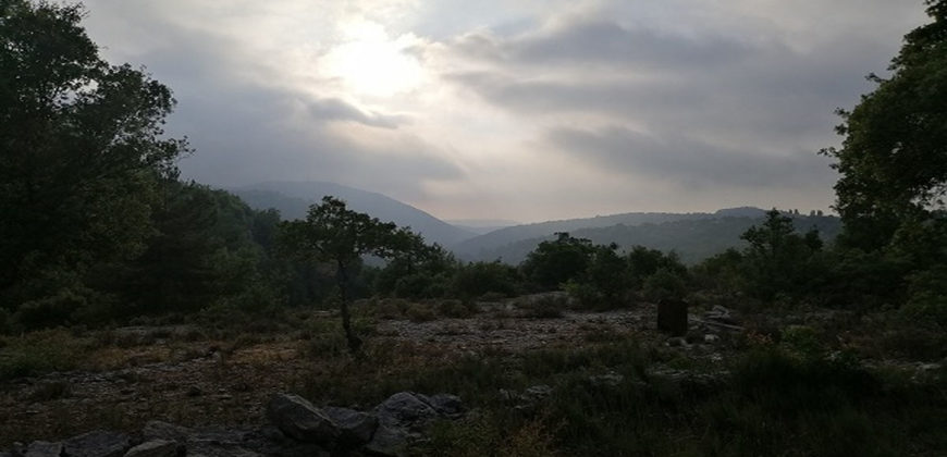 Land for Sale Lehfed Jbeil Area 2971Sqm