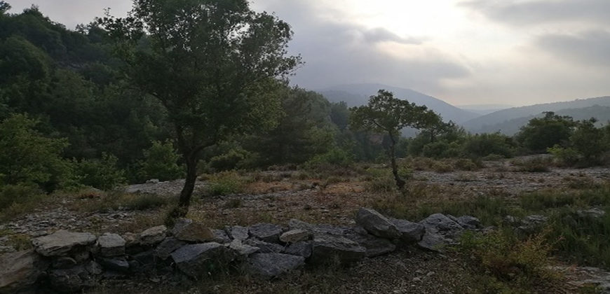 Land for Sale Lehfed Jbeil Area 2971Sqm