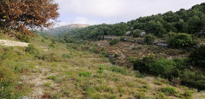 Land for Sale Lehfed Jbeil Area 2971Sqm