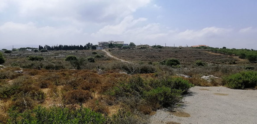 Land for Sale Gharzouz Jbeil Area 1625Sqm