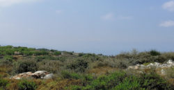 Land for Sale Gharzouz Jbeil Area 1625Sqm
