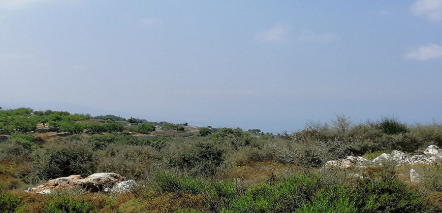 Land for Sale Gharzouz Jbeil Area 1625Sqm