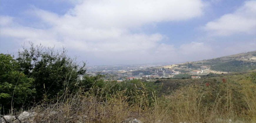 Land for Sale Blat ( Mastita ) Jbeil Area 905Sqm