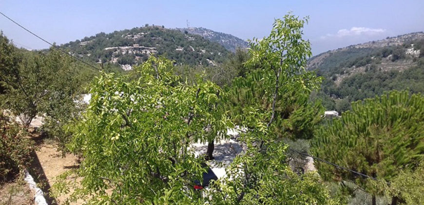 Land for Sale Lehfed Jbeil Area 4471Sqm