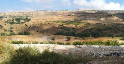 Land for Sale Aaqoura ( Laqlouq ) Jbeil Area 880Sqm