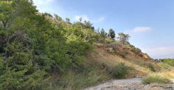 Land for Sale Aaqoura ( Laqlouq ) Jbeil Area 880Sqm