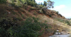 Land for Sale Aaqoura ( Laqlouq ) Jbeil Area 880Sqm