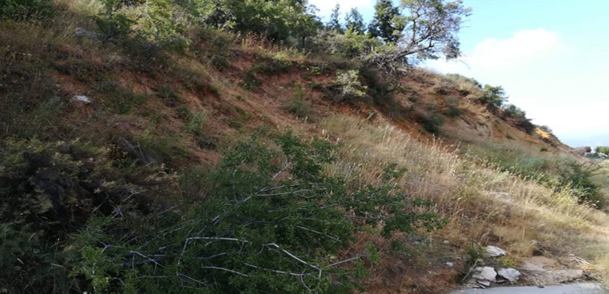 Land for Sale Aaqoura ( Laqlouq ) Jbeil Area 880Sqm