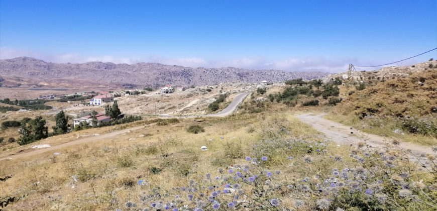 Land for Sale Aaqoura ( Laqlouq ) Area 696Sqm
