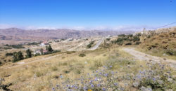 Land for Sale Aaqoura ( Laqlouq ) Area 696Sqm