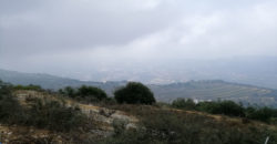 Land for Sale Ras Osta Jbeil Area 8013Sqm